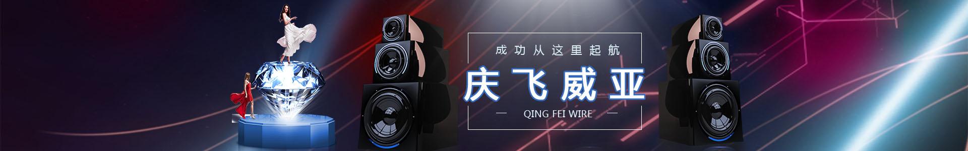 banner_1920x300_經(jīng)典案例_01